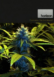 BBC. Конопля: вредная трава? / BBC Horizon. Cannabis: The Evil Weed?