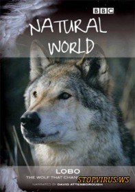 BBC. Мир природы. Лобо: Волк, который изменил Америку (2008)