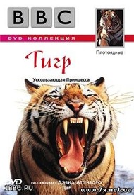 BBC: Жизнь животных   Плотоядные: Тигр / The Wildlife Specials: Tiger