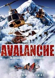 Белый шквал / Nature Unleashed: Avalanche