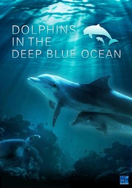 Дельфины в океанской синеве / Dolphins In the deep blue ocean