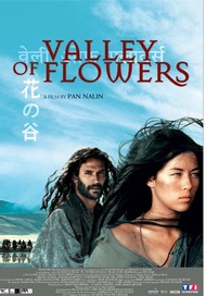 Долина цветов / Valley of Flowers