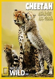 Гепарды   Наперекор всему / National Geographic: Cheetah   Against All Odds