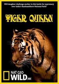 Королева тигров / National Geographic: Tiger Queen