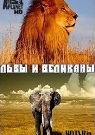 Львы и Великаны / Lions and Giants on the Edge (2008)