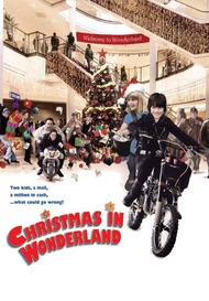 Миллион на Рождество / Christmas in Wonderland