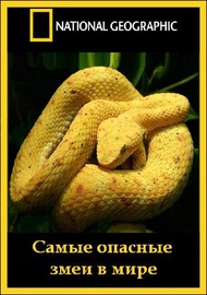 National Geographic: Самые опасные змеи в мире / National Geographic: Worlds deadliest snakes