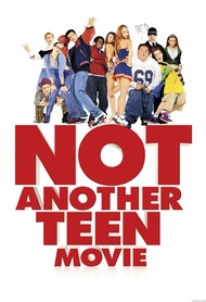 Не детское кино / Not Another Teen Movie