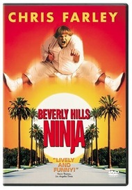 Ниндзя из Беверли Хиллз / Beverly Hills Ninja