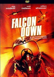 Призрачная цель / Falcon Down