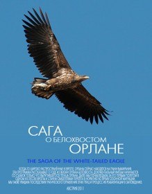Сага о белохвостом орлане / The Saga of the White tailed Eagle (2011)