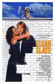 Стерлось из памяти (Чистая страница) / Clean Slate (2000)