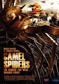 Верблюжьи пауки / Camel Spiders